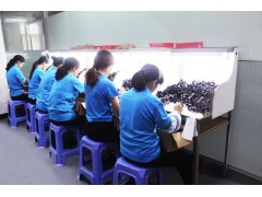 朗旗測試設(shè)備Main Testing Equipment